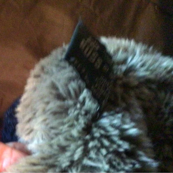 Russ TeddyBare - Picture 5 of 7